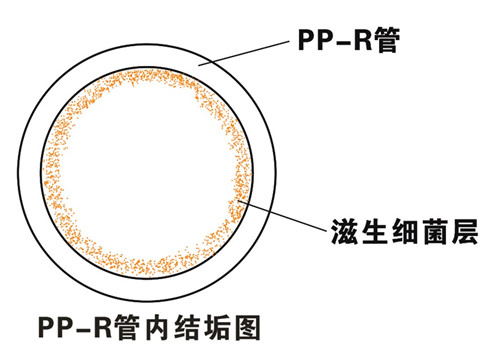 PP-R滲氧，易滋生細(xì)菌，有異味；腐蝕金屬連接件，降低使用壽命